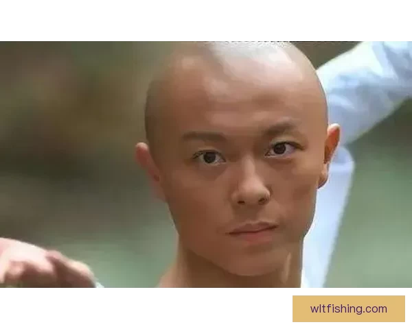 探索东亚影视魅力：日韩久久电影的独特光芒