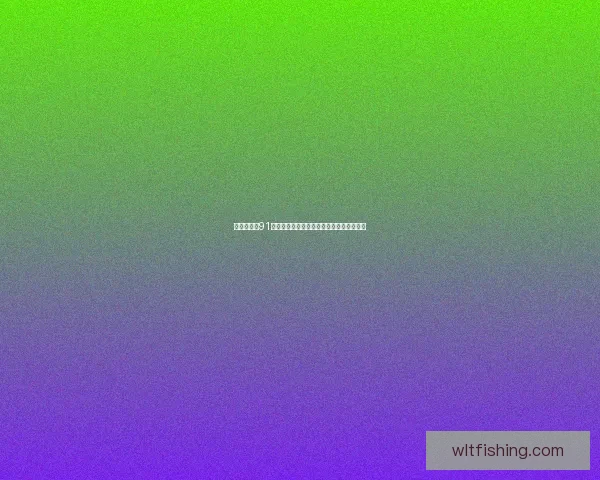 重温经典：91版在线观看视频，一场跨越时空的怀旧之旅